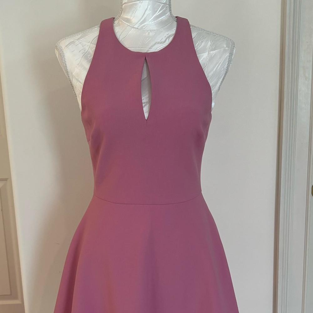 Elizabeth and James Plum Backless Dress